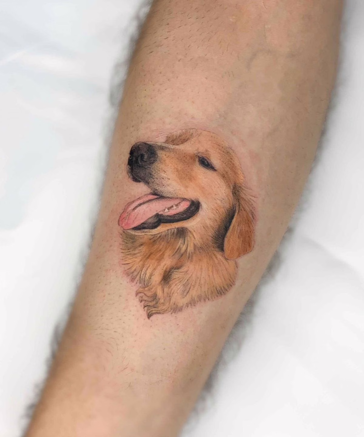 tatuaje perro realista