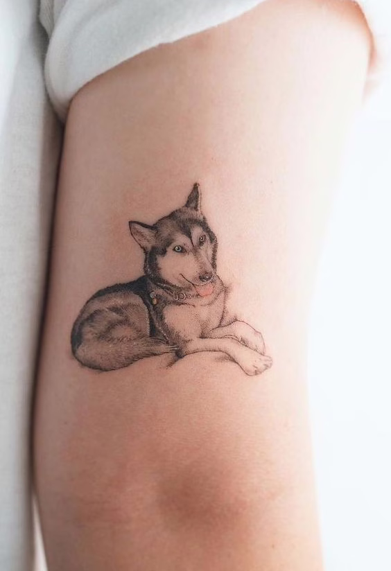 tatuajes de perros siberianos