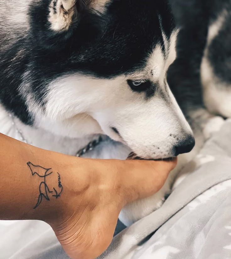 tatuajes de perros siberianos